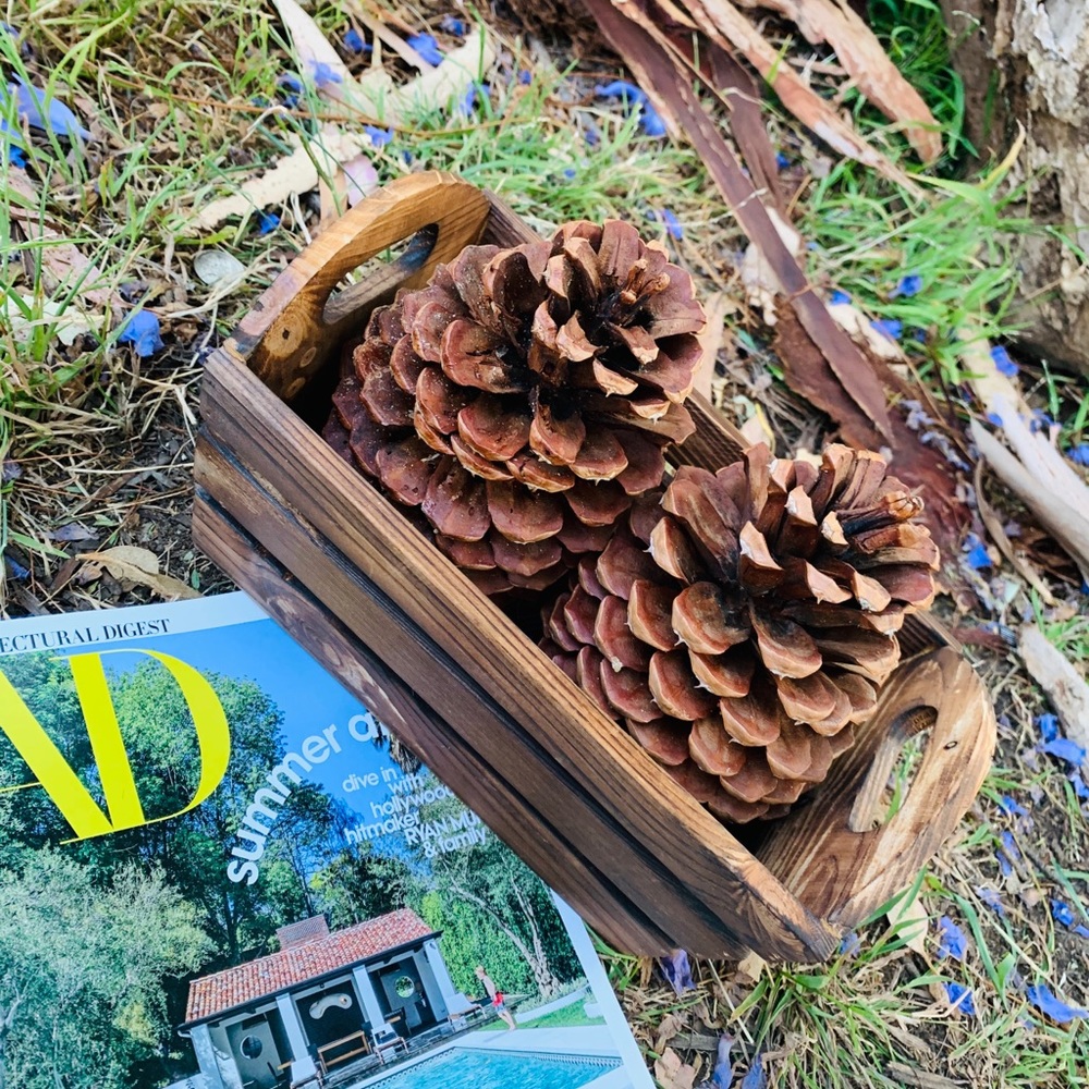Wood Crate